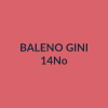 Baleno Gini